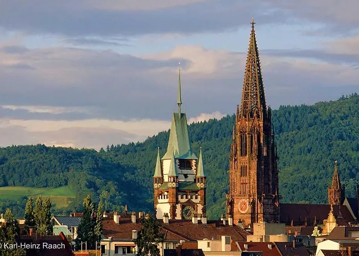 Ferienwohnung-herbolzheim Appartamento Herbolzheim